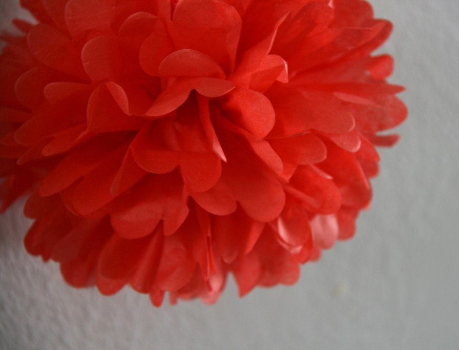 Mandarin red - one pom