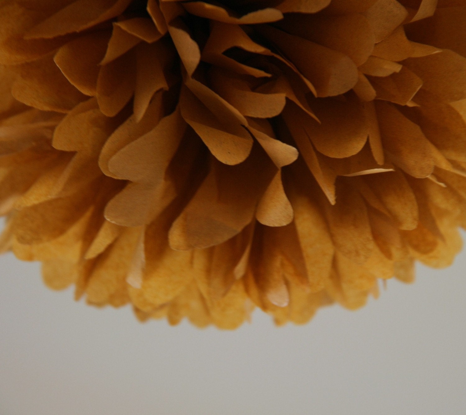 Honey Brown - one pom