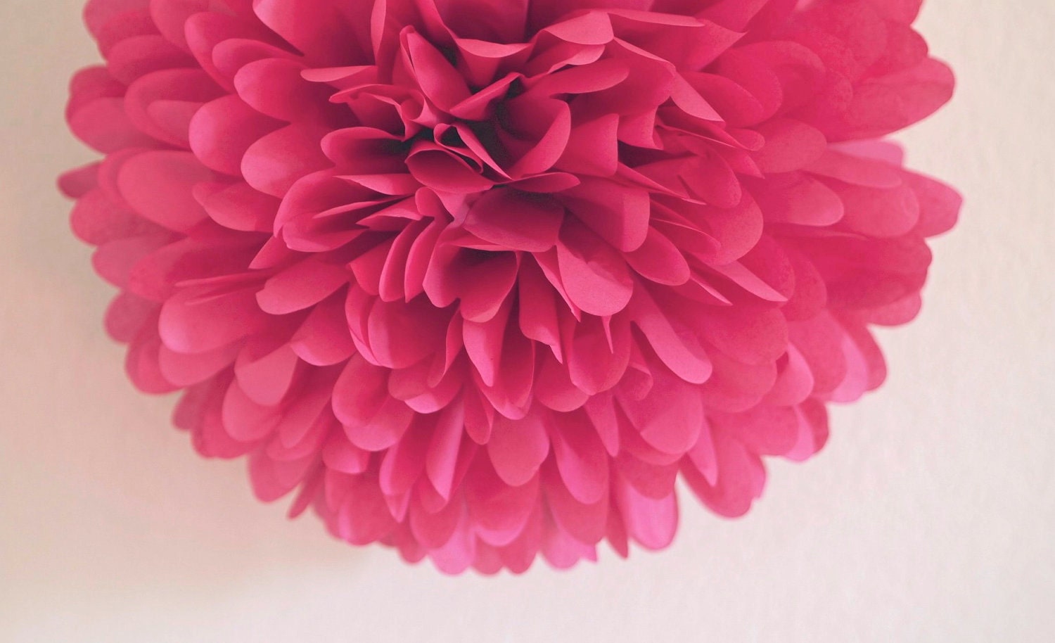 Fuschia - one pom