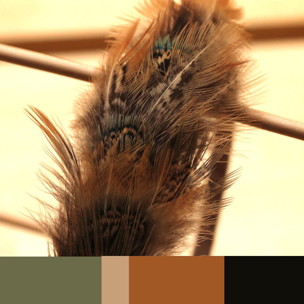 Honey brown with flashes of blue and grey feather hair band. Ringneck pheasant and silver grouse. Comfortable and flexible. Fascinator. 0051