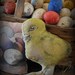 Primitive Early looking Rag Stuffed Happy Yellow Chick Cupboard Basket Tuck Pillow
