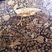 custom coffe table