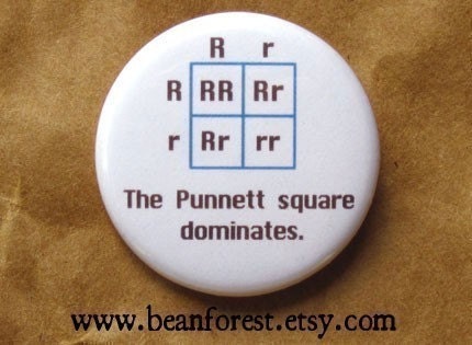 the Punnett square dominates - pinback button badge