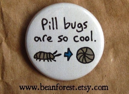 pill bugs are so cool - pinback button badge