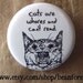 cats are whores and can't read - funny weird- pinback button badge