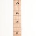 6 string Cup Cake Guitar