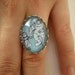 Here we are Mr Bubbles Bioshock ring