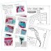 PDF Sewing Pattern: The Little Fishies Undies