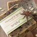 10% OFF - Oatmeal Chai Handmade Cold Process Natural Soap