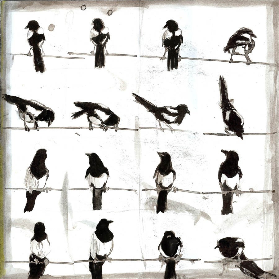 magpies print