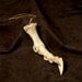 Articulated Dragon Claw Bone - Small Talon