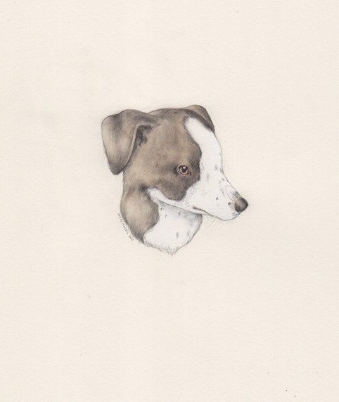 I will draw/paint a portrait of your pet for you.