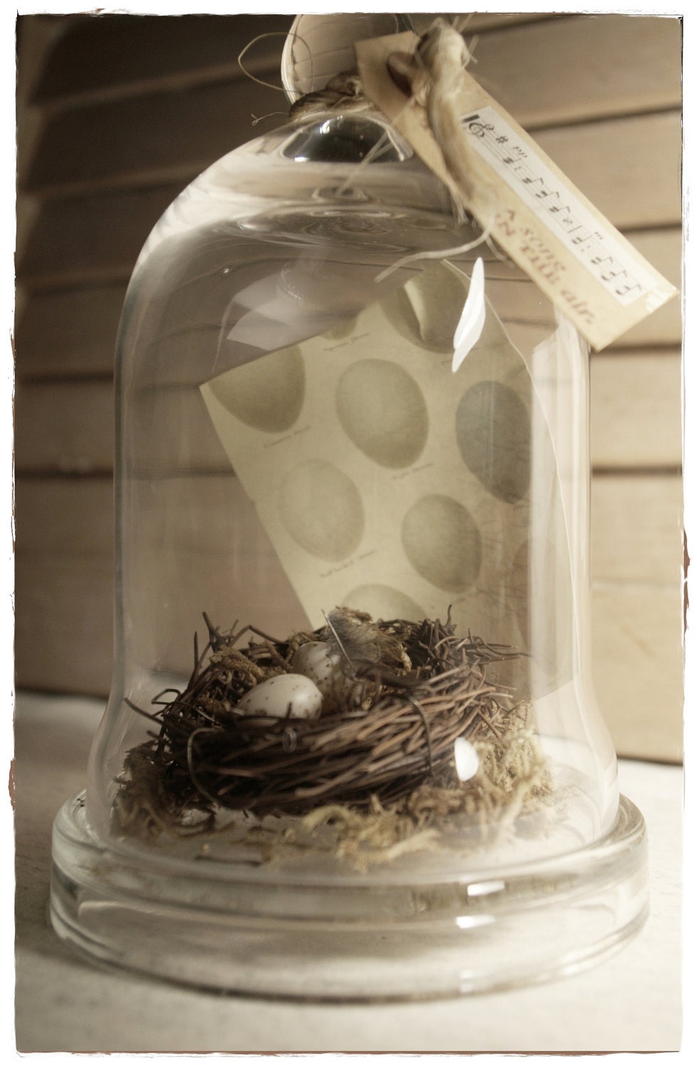 Nest Cloche with Egg Print and Tag
