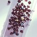 Swarvoski Bicone Beads - Burgundy AB - 4mm - (70)