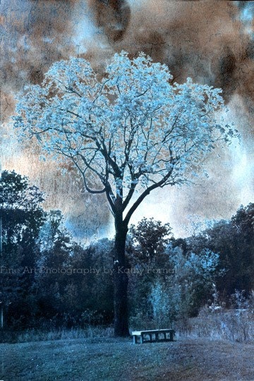 Nature Photography - Dreamy Blue Trees - Surreal Blue Ethereal Trees - Landscape Nature Scene Fine Art Photograph 8" x 12"