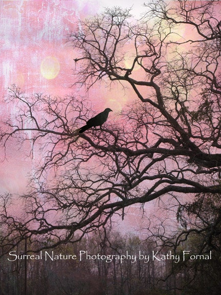 Nature Photography, Surreal Trees, Ravens, Gothic, Purple, Pink, Haunting Fantasy Trees, Crows, Fine Art Photography 8" x 12" - KathyFornal