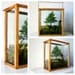 Table Top Forest Terrarium