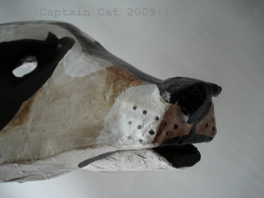 Raccoon Mask - Captain Cat Original