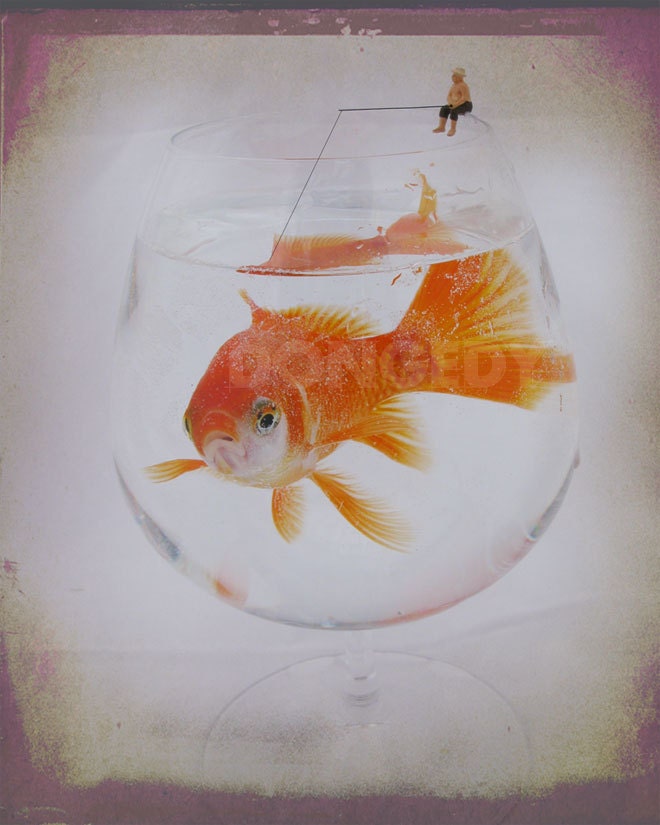 Big Fish - 8x10 diorama macro surreal photo - perfect gift for him