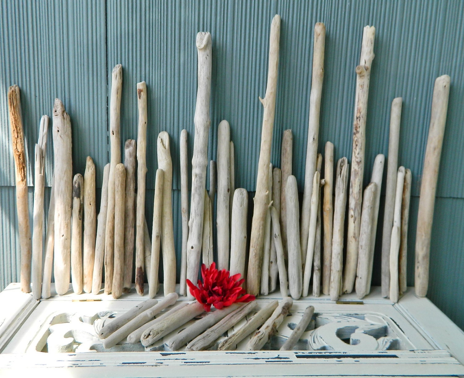 Reserved for Nicole Mark Natural Straight Driftwood Sticks Instant Collection of 53 Surf Tumbled Pieces Coastal decor & Beach Wedding S-53