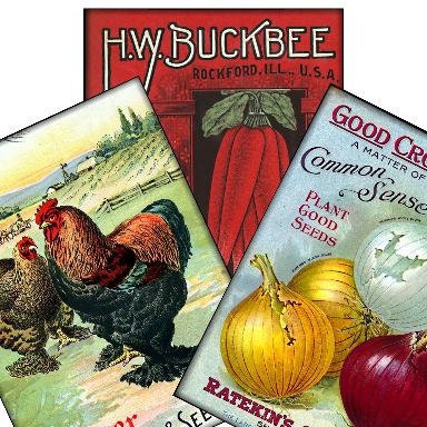 Buy gift tags and printable cards - At the Farmers Market Vintage Tags 2.5x3.5 Collage -greeting cards postcard ATC ACEO gift tags- U Print 300dpi jpg sh280