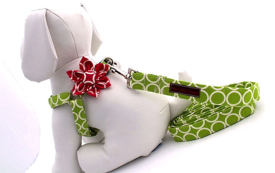 Step-In Dog Harness, Leash and Flower Set......Size XSmall......Your Choice of Any Style in the Shop