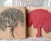 Birch Tree rubber stamp from oldislandstamps