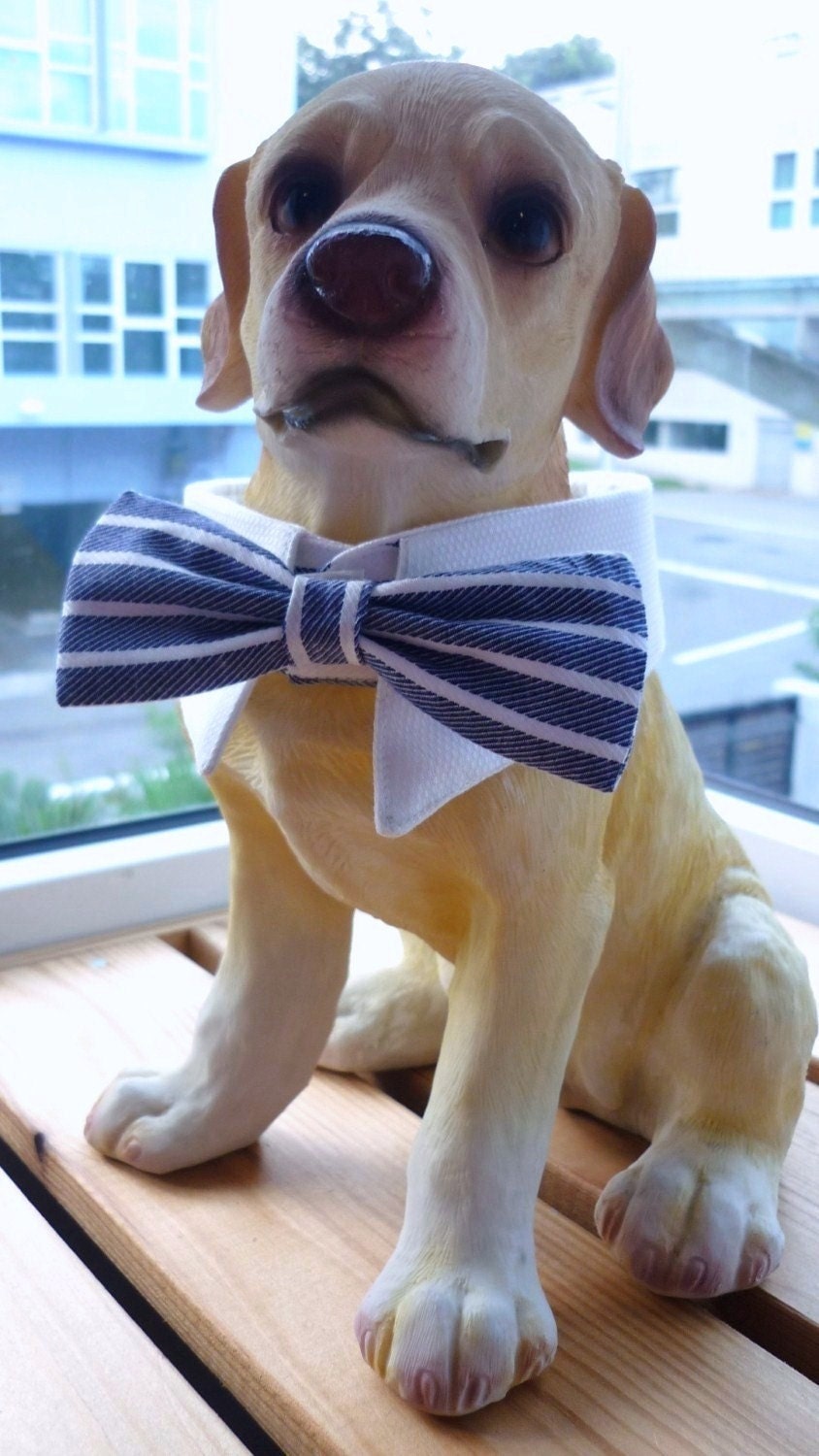 Items similar to Medium / Small Dog Bow Tie and Neck Tie White Shirt Collar Set Blue and White