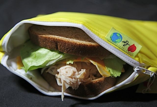 reusable insulated sandwich bags