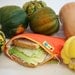 U pick color sandwich ZIPPIT bag reusable and eco friendly