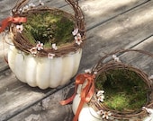 White Pumpkin Basket - Large - Fall Wedding Flower Girl Basket