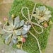Natural Moss Wedding Ring Pillow with Succulents
