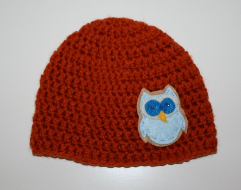 READY TO SHIP - 3-6 Month Owl Beanie - As Pictured