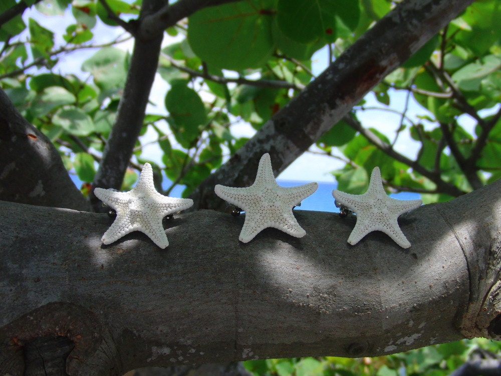 Set of 3 white knobby starfish barrettes