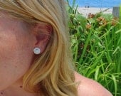 Small Sand dollar earrings