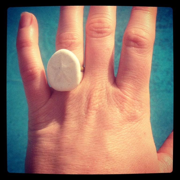 White seabiscuit sand dollar ring