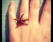 Starfish ring