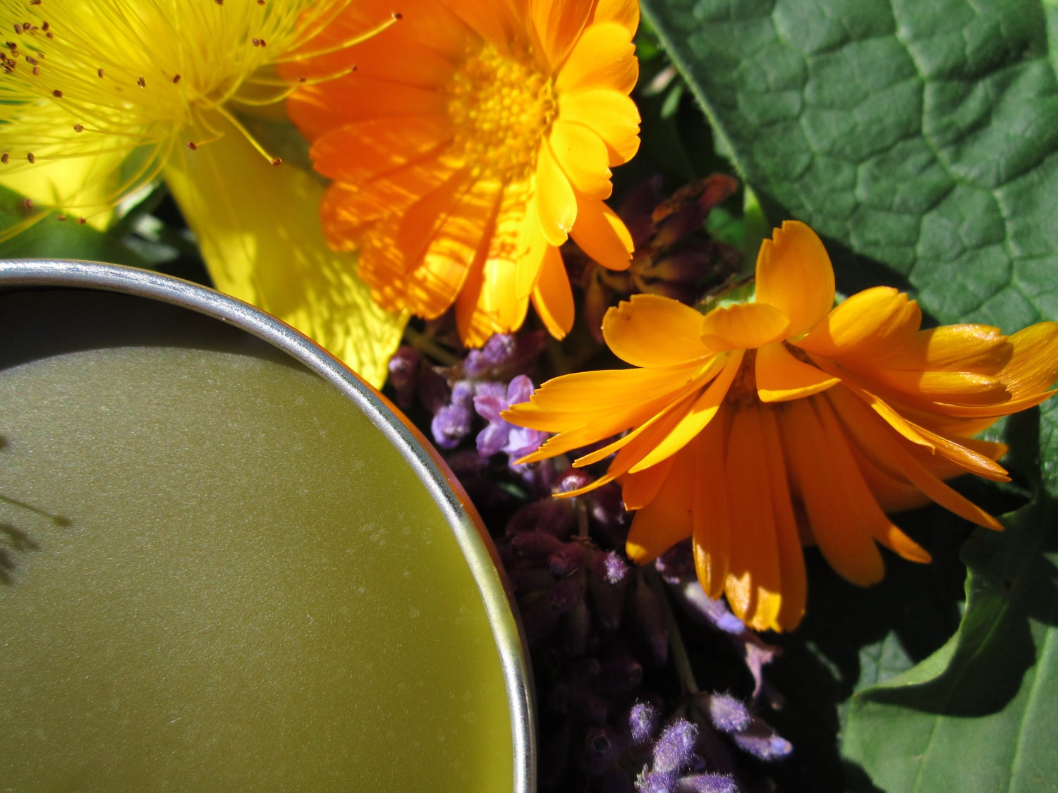 Herbal Salve-Jumbo Size- Magical Healing Salve- with Calendula, Comfrey, Tea Tree, Lavender.....