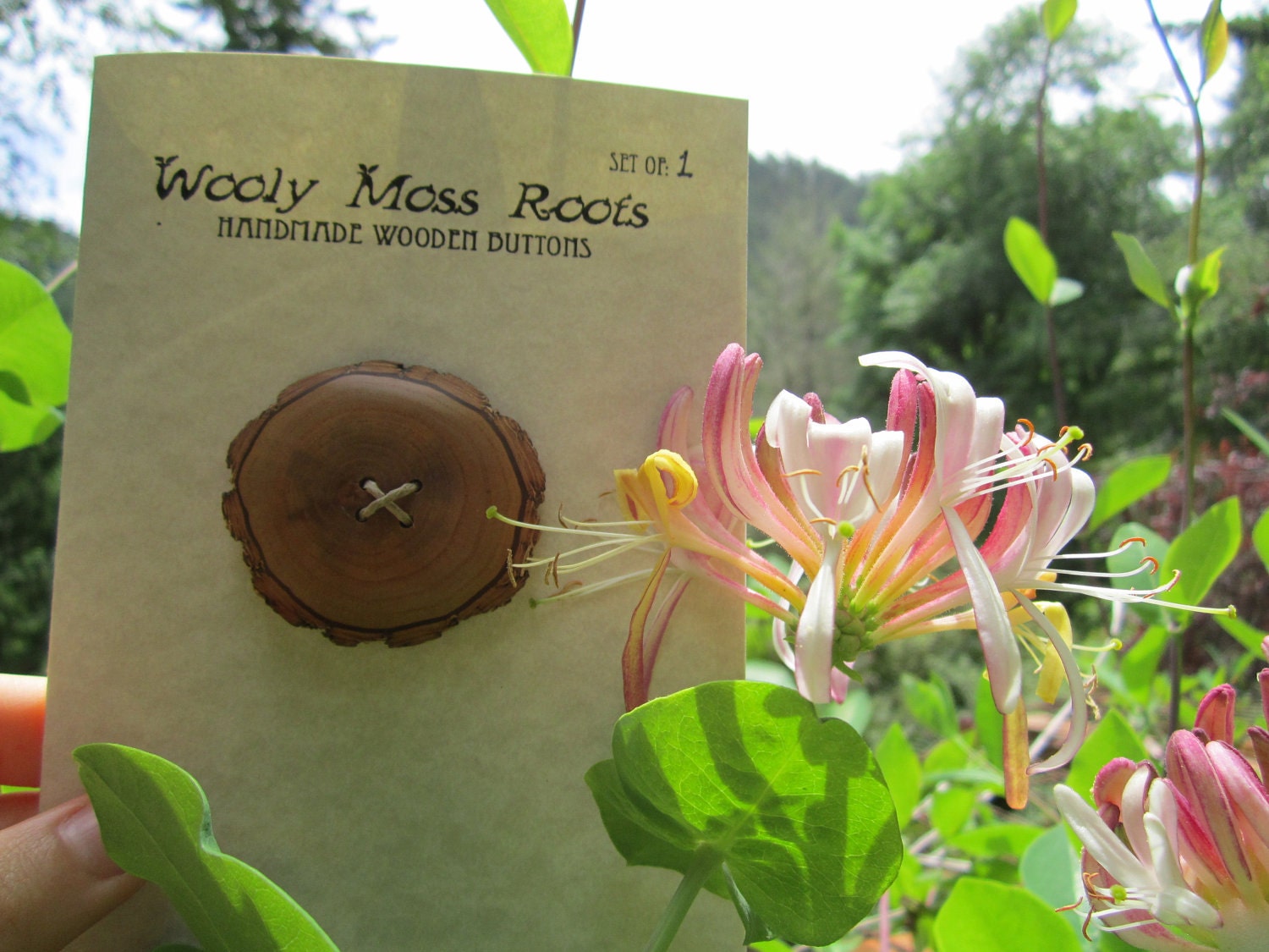 Reclaimed Wood Button- Sassafras Wood- Knitting, Sewing, Craft Buttons