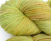 March Hare hand dyed worsted weight yarn, 4ply superwash merino, 100g 220yds - Horned Melon 1