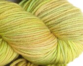 March Hare hand dyed worsted weight yarn, 4ply superwash merino, 100g 220yds - Horned Melon 2