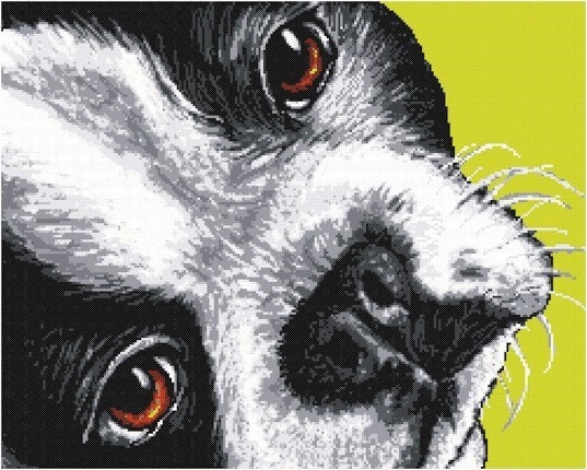 Original Cross Stitch Pattern Boston Terrier by ArtfulCrossStitch