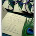 50 MELODIE Peacock Themed Petit Wedding Programs