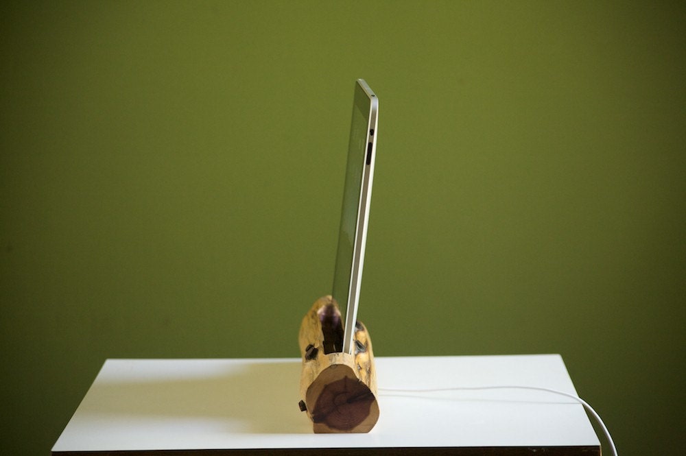 iPad docking station