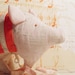 Little Pink Pig