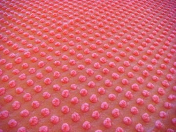 Morgan Jones Watermelon Pink Pops Vintage Chenille Fabric