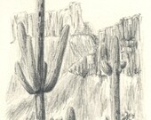 Saguaro Sentinels Original ACEO Pencil Drawing