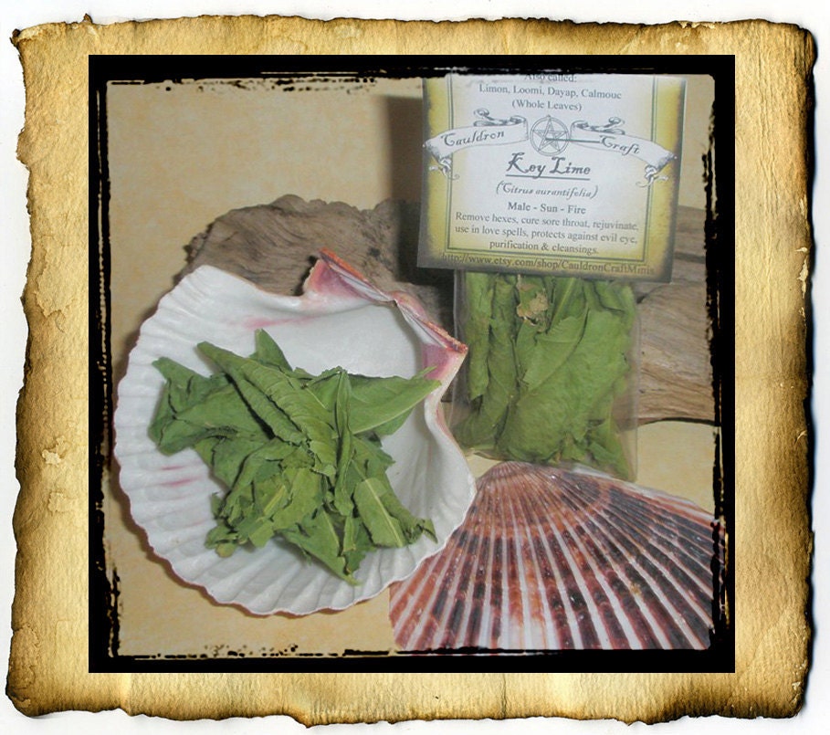 Key Lime Whole Leaf 1.5 oz - organic dried herb - protection, love, cleansing, jinx breaking spells