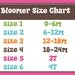 Birthday Owl Bloomers, Owl, One's a Hoot, Pink and Blue, Owl Birthday, Photo Prop