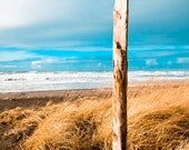 SALE Beach Day (8x12 print)